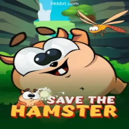 Discover the Excitement of SavetheHamster on HKK.cc Platform - Oficial Slots Brasil #1